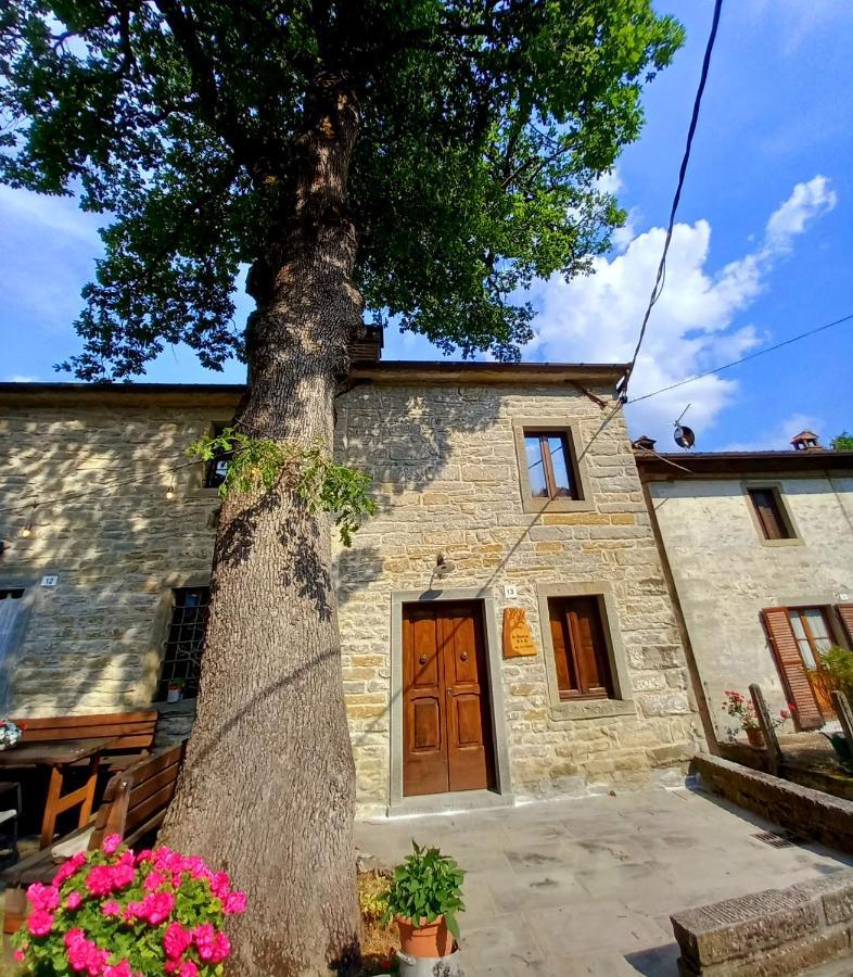 Apartamento Casina La Quercia Santa Sofia Exterior foto