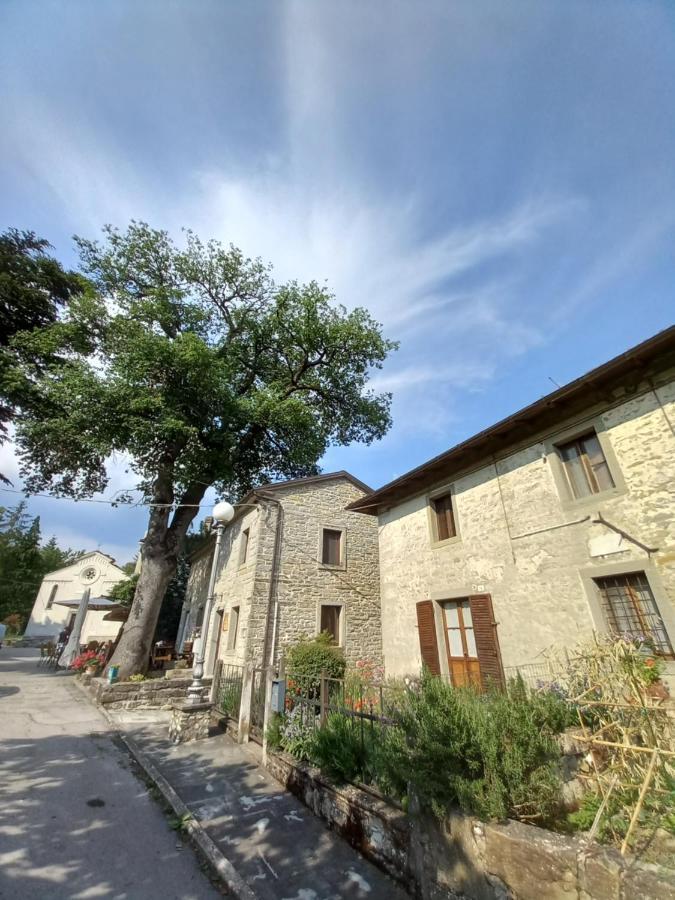 Apartamento Casina La Quercia Santa Sofia Exterior foto
