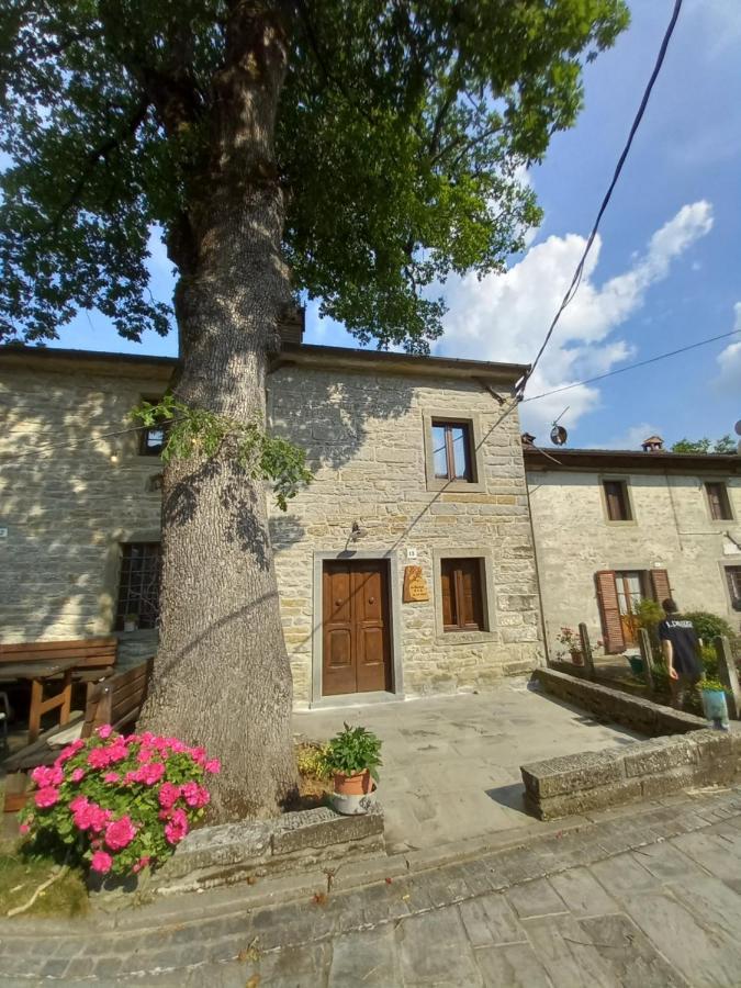 Apartamento Casina La Quercia Santa Sofia Exterior foto