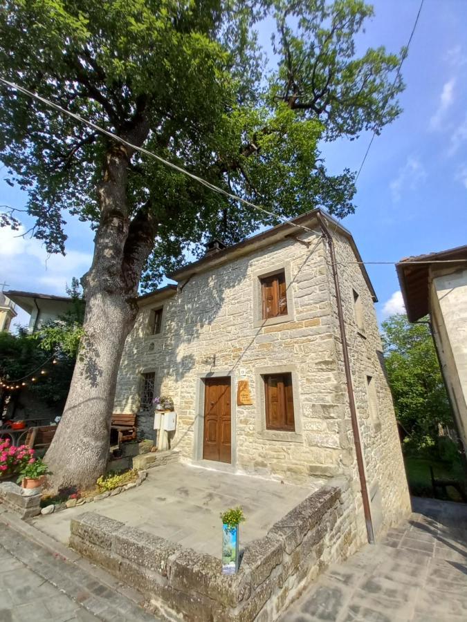 Apartamento Casina La Quercia Santa Sofia Exterior foto
