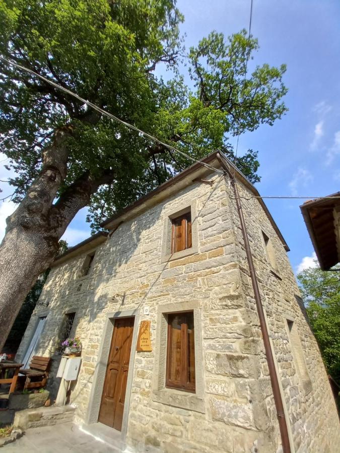 Apartamento Casina La Quercia Santa Sofia Exterior foto